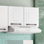 arm-rio-de-cozinha-a-reo-colormaq-titanium-2-portas-41x70cm-em-a-o